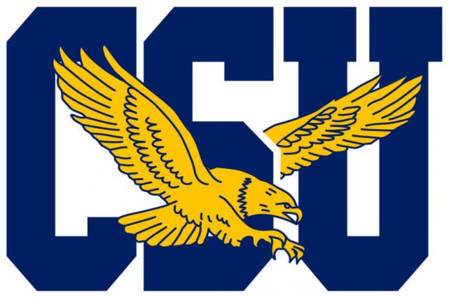 Coppin State Eagles 2017-Pres Primary Logo iron on transfers for T-shirts